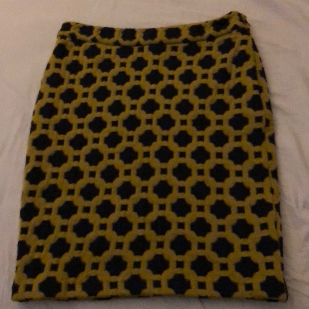 Skirt looks like new